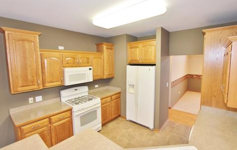 1751 Kingtree Dr, Morris, IL 60450 photo 9