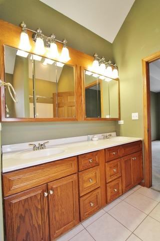 1751 Kingtree Dr, Morris, IL 60450 photo 18