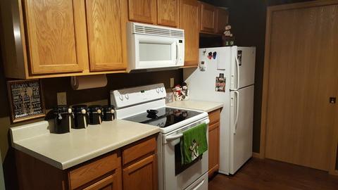 316 E 4th St, Byron, IL 61010 photo 4