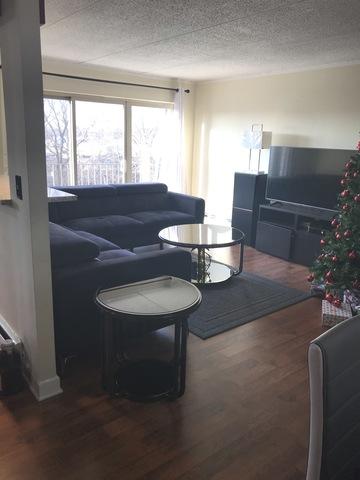 580 Fairway View Dr #2-3B, Wheeling, IL 60090 photo 4