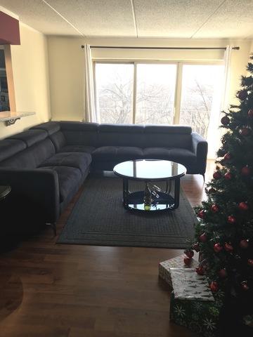 580 Fairway View Dr #2-3B, Wheeling, IL 60090 photo 5
