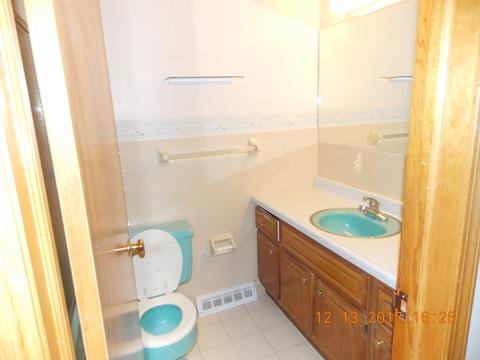 3440 Parthenon Way, Olympia Fields, IL 60461 photo 18