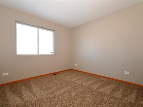 333 Aster Dr, Minooka, IL 60447 photo 16