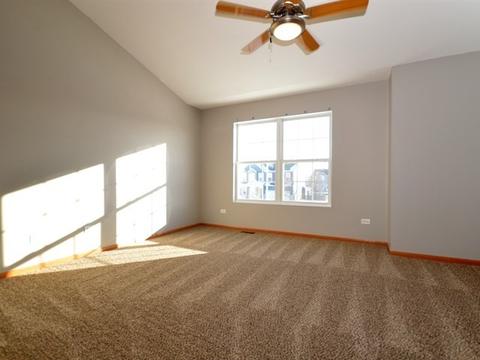 333 Aster Dr, Minooka, IL 60447 photo 13