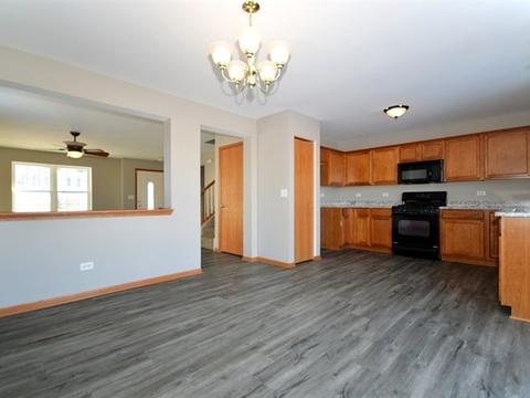 333 Aster Dr, Minooka, IL 60447 photo 10