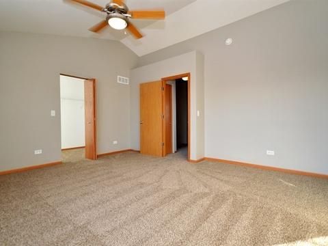 333 Aster Dr, Minooka, IL 60447 photo 14