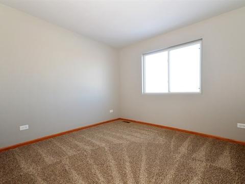 333 Aster Dr, Minooka, IL 60447 photo 15