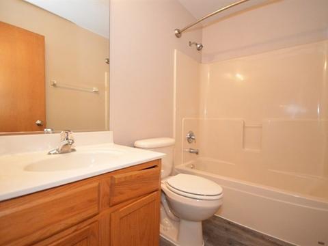 333 Aster Dr, Minooka, IL 60447 photo 17