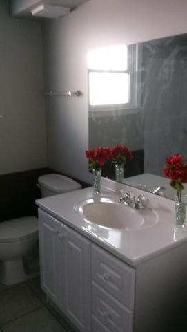 719 Spring St, Roselle, IL 60172 photo 8