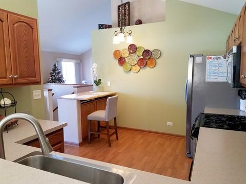 2552 Hatfield Ct, Elgin, IL 60123 photo 9