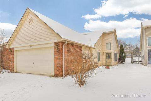 1015 Pheasant Run Ln, Aurora, IL 60504 photo 1