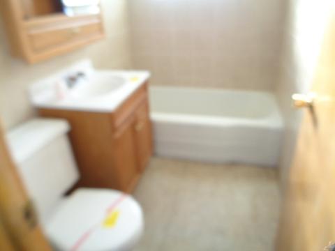417 E 107th St, Chicago, IL 60628 photo 10