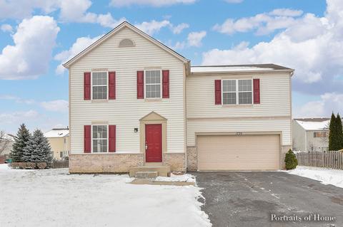 1720 Mountain Ridge Pass, Plainfield, IL 60586 photo 1