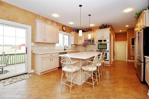 7252 W Ethan Ct, Monee, IL 60449 photo 4