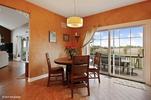 7252 W Ethan Ct, Monee, IL 60449 photo 5