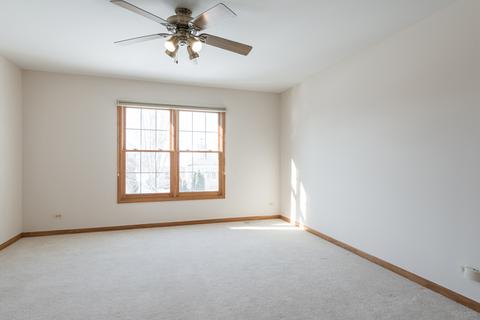 12152 Winterberry Ln, Plainfield, IL 60585 photo 37