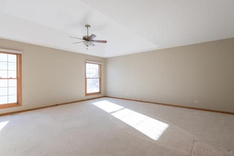 12152 Winterberry Ln, Plainfield, IL 60585 photo 22