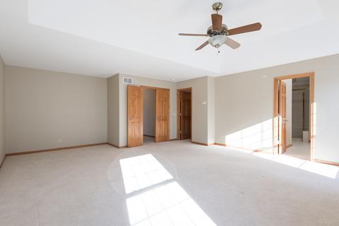 12152 Winterberry Ln, Plainfield, IL 60585 photo 23
