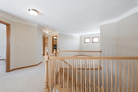 12152 Winterberry Ln, Plainfield, IL 60585 photo 30