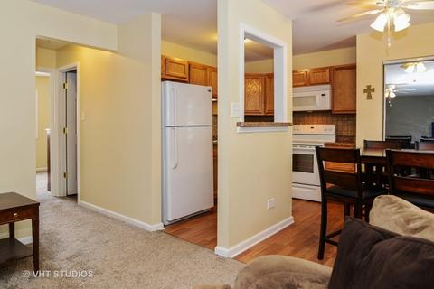 1119 S Curtis Ave #C25, Kankakee, IL 60901 photo 5