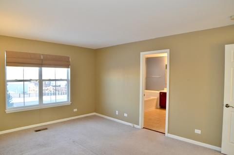 423 Azalea St, Elgin, IL 60124 photo 8