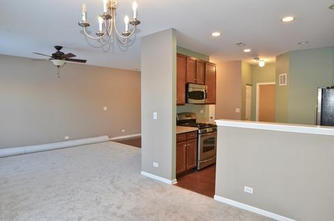 423 Azalea St, Elgin, IL 60124 photo 4