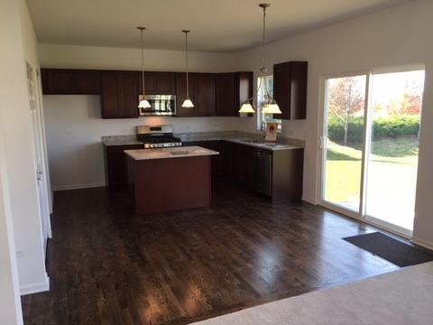 728 Slate Run Dr, Elgin, IL 60124 photo 4
