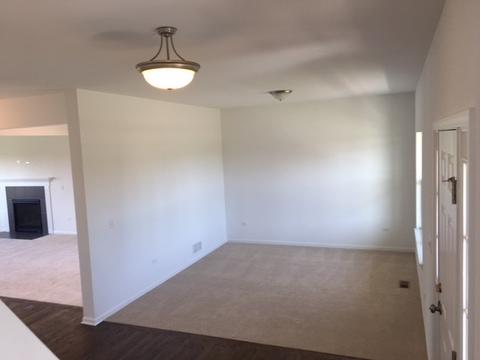 728 Slate Run Dr, Elgin, IL 60124 photo 8