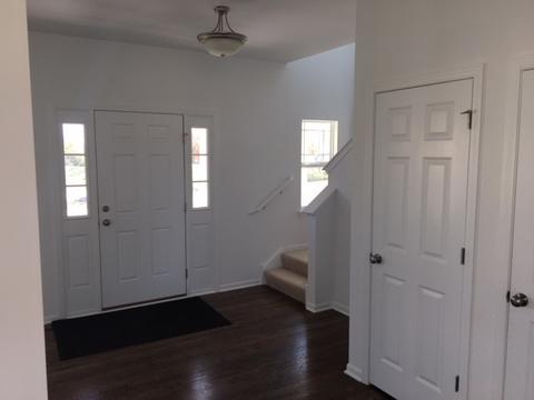 728 Slate Run Dr, Elgin, IL 60124 photo 7