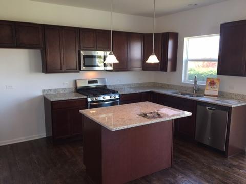 728 Slate Run Dr, Elgin, IL 60124 photo 3