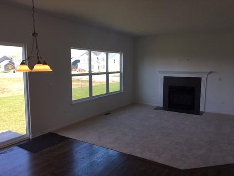 728 Slate Run Dr, Elgin, IL 60124 photo 5