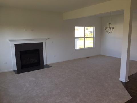 728 Slate Run Dr, Elgin, IL 60124 photo 6