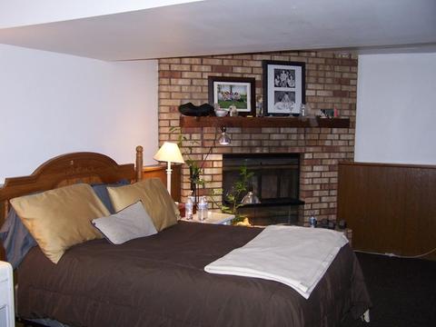 4303 N Dennis Blvd, Johnsburg, IL 60051 photo 12