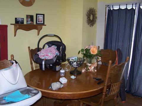 4303 N Dennis Blvd, Johnsburg, IL 60051 photo 5