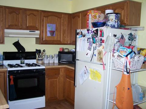 4303 N Dennis Blvd, Johnsburg, IL 60051 photo 7