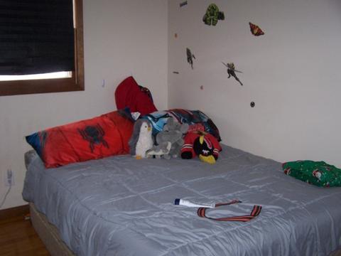 4303 N Dennis Blvd, Johnsburg, IL 60051 photo 9