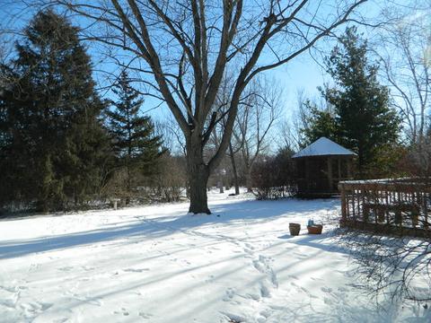 4025 Suffolk Ln, Hoffman Estates, IL 60192 photo 20