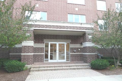 1675 Mill St #202, Des Plaines, IL 60016 photo 1