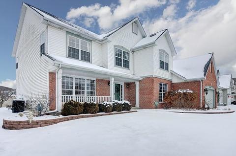 23746 Tall Grass Dr, Plainfield, IL 60585 photo 2