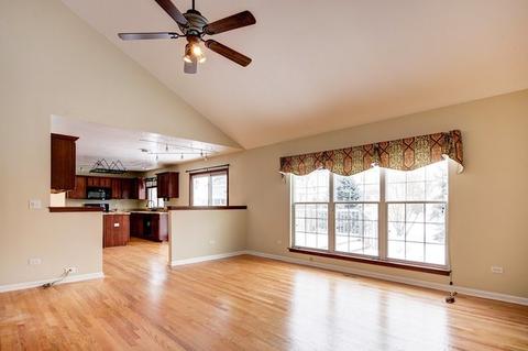 23746 Tall Grass Dr, Plainfield, IL 60585 photo 19