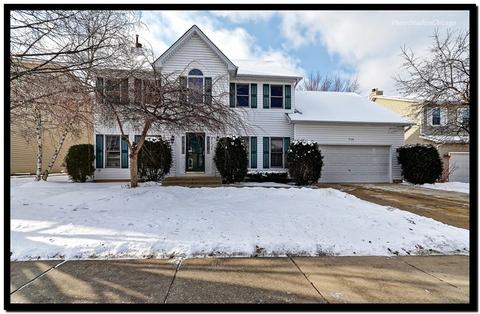 710 N Hundley St, Hoffman Estates, IL 60169 photo 1