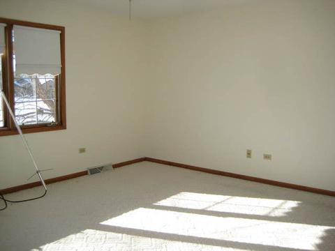26815 S Winfield S, Monee, IL 60449 photo 7