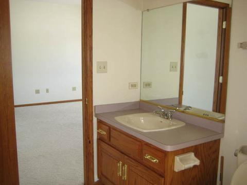 26815 S Winfield S, Monee, IL 60449 photo 29