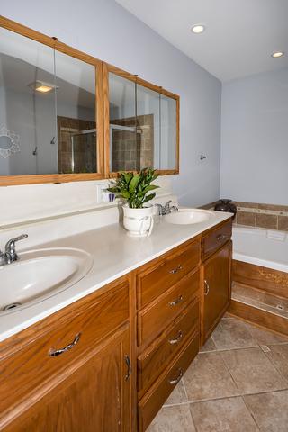 1444 Snow Drift Cir, Bartlett, IL 60103 photo 40