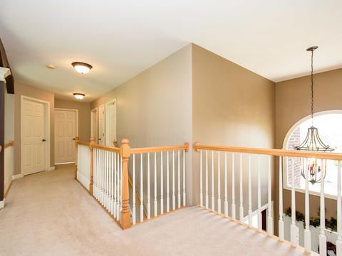 13409 Kerr St, Plainfield, IL 60585 photo 43