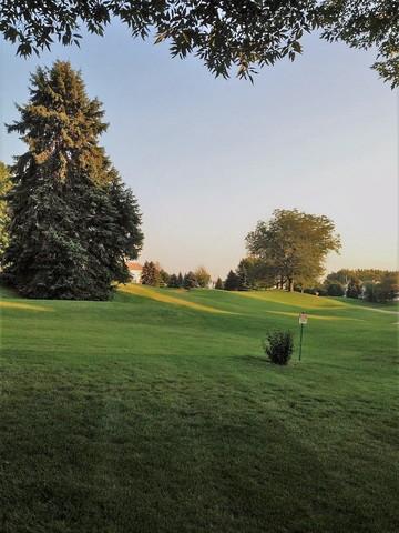 541 Rose Ln, Bartlett, IL 60103 photo 46