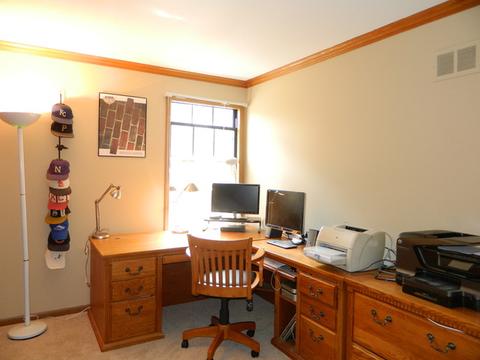 4556 Opal Dr, Hoffman Estates, IL 60192 photo 13