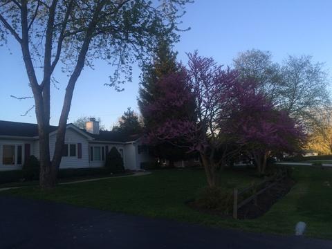 440 Azalea Ln, Hoffman Estates, IL 60169 photo 20
