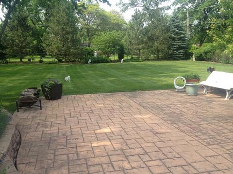 440 Azalea Ln, Hoffman Estates, IL 60169 photo 18