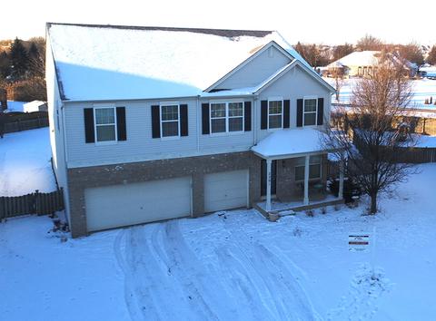 2201 Holly Ridge Dr, Plainfield, IL 60586 photo 2